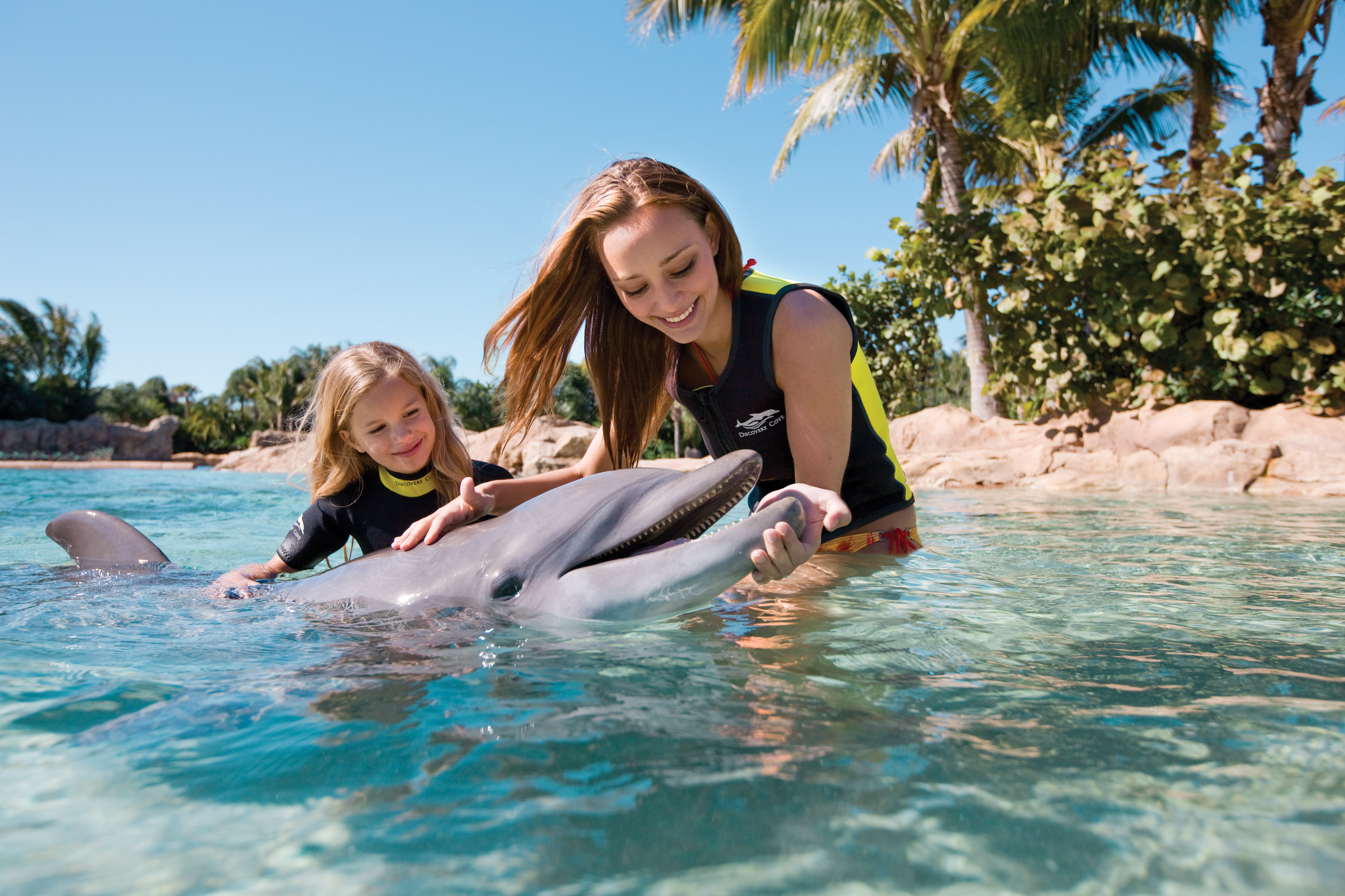 Удовольствие с дельфином. Девушка и Дельфин. Девочка и Дельфин на море. Дельфины люди моря.