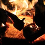 Campfire closeup