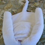 Towel stingray