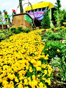 Epcot International Flower and Garden Festival