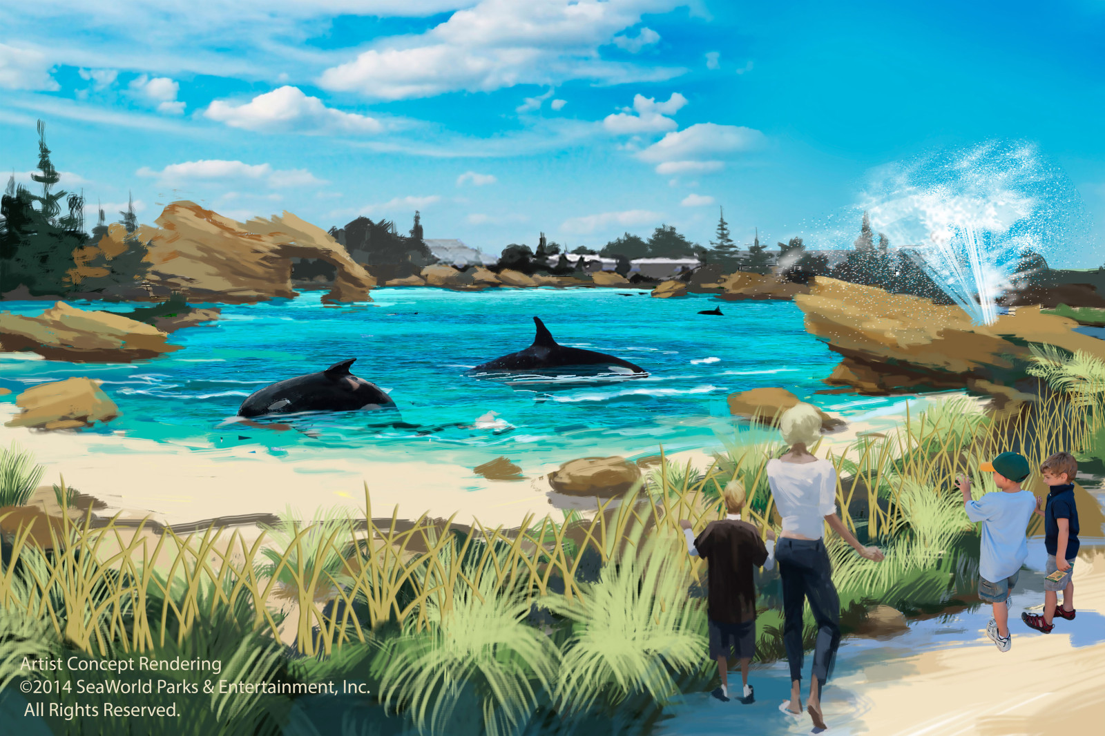 SeaWorld Orlando Killer Whale Announcement 
