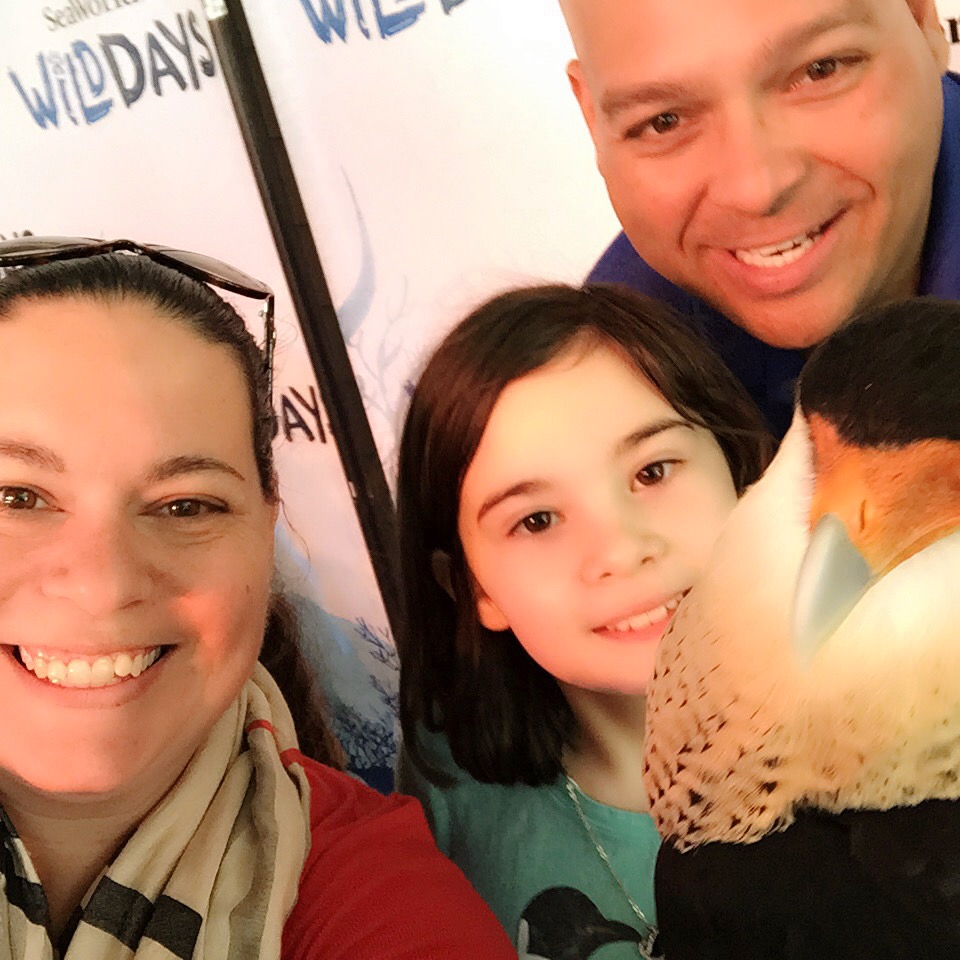 SeaWorld Orlando Wild Days 2015