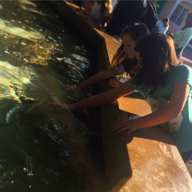 SeaWorld Orlando Wild Days 2015
