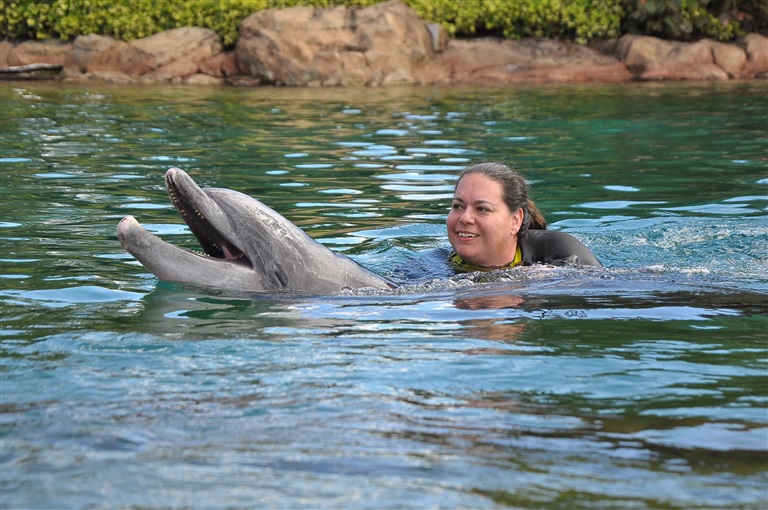 Discovery Cove Shelley Dolphin