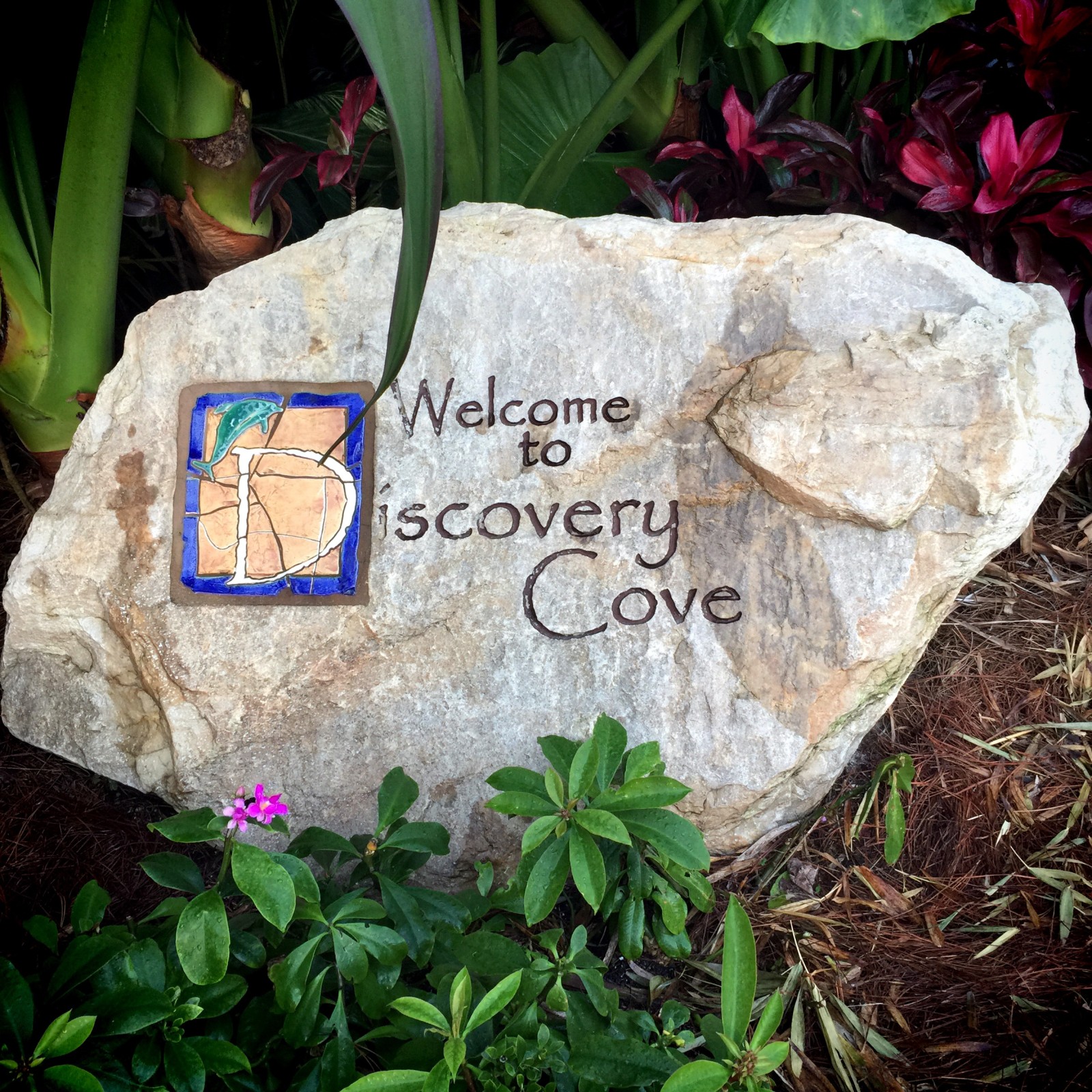 Discovery Cove Welcome