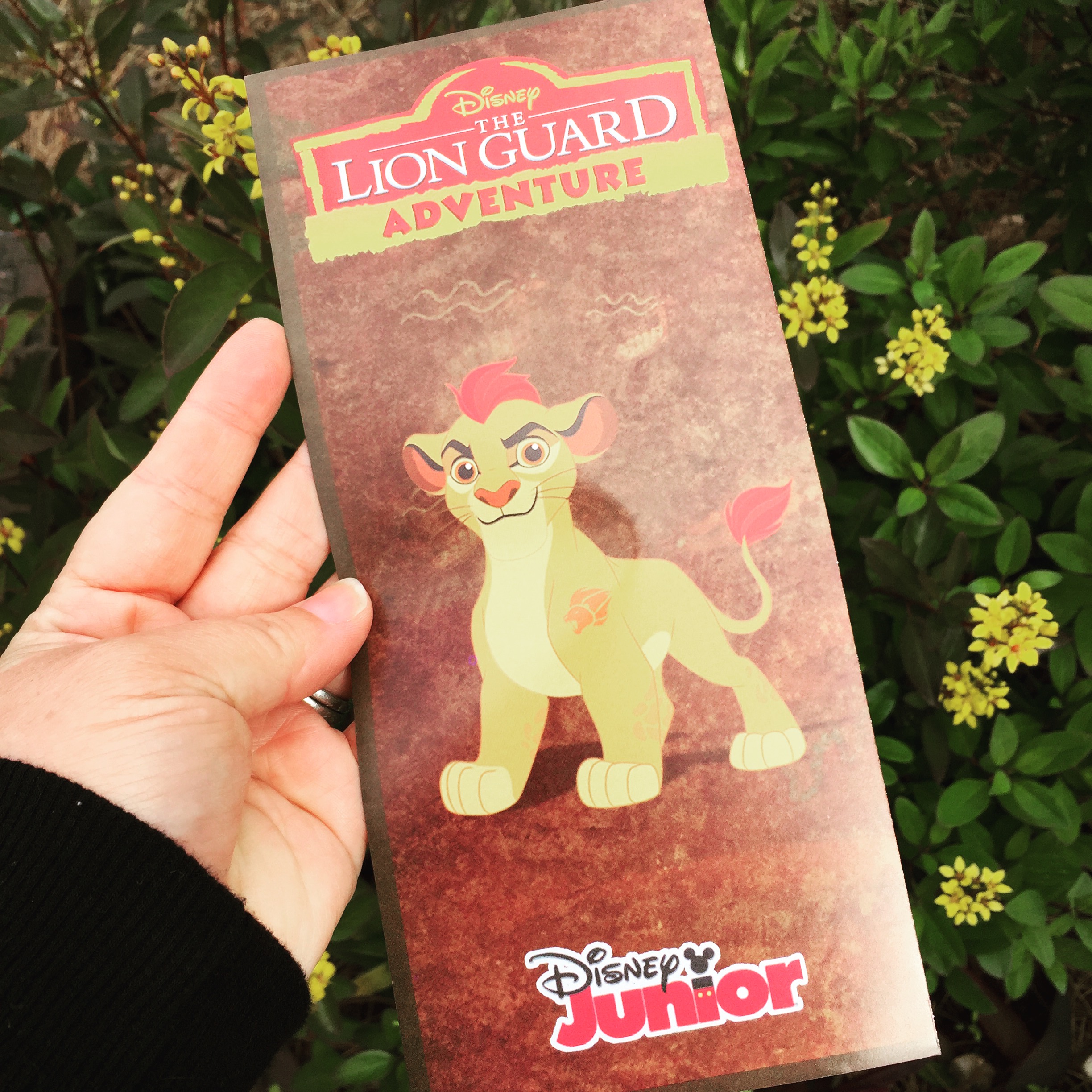 The Lion Guard Adventure Disney's Animal Kingdom