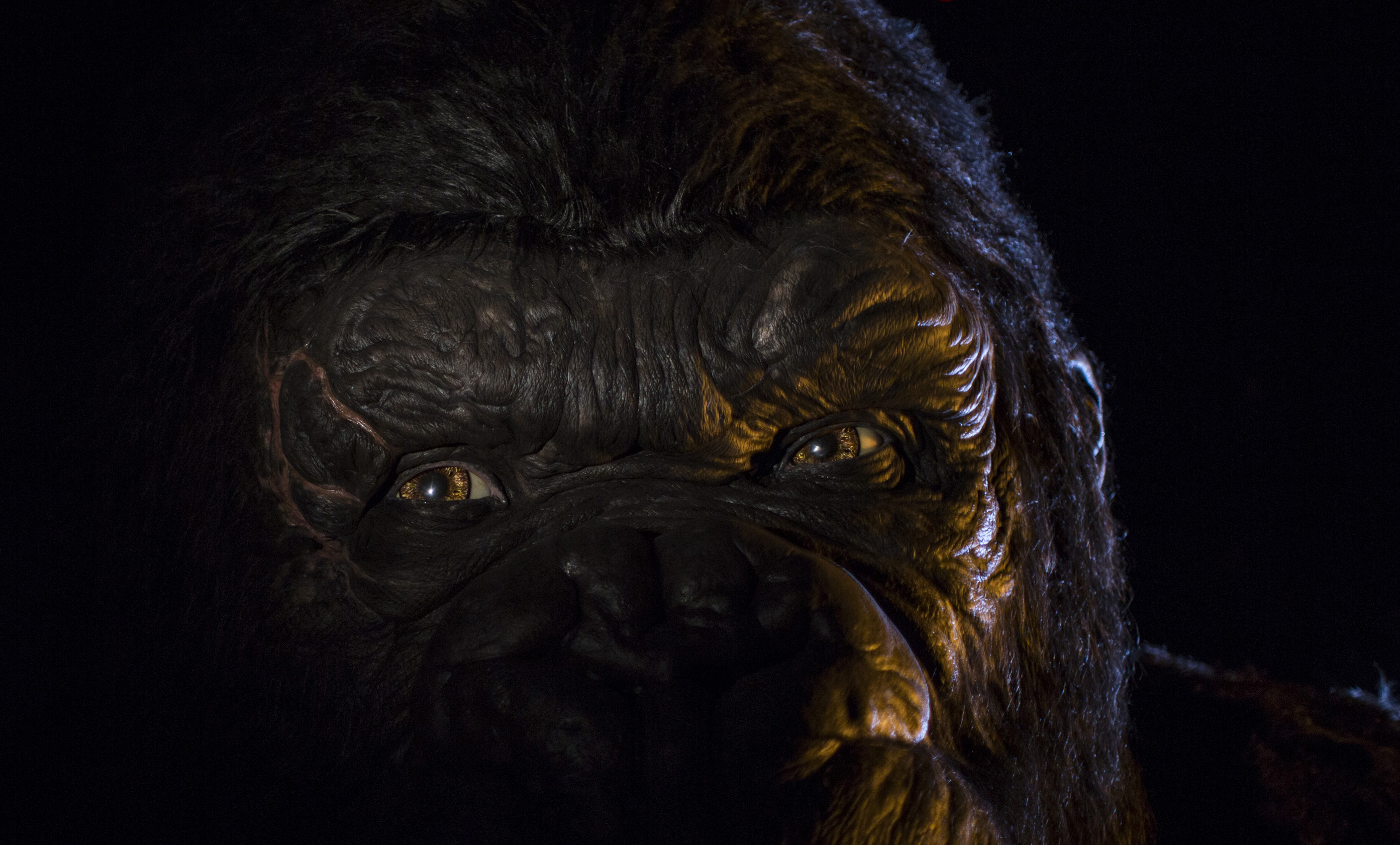 Universal Orlando Releases First Images Of King Kong