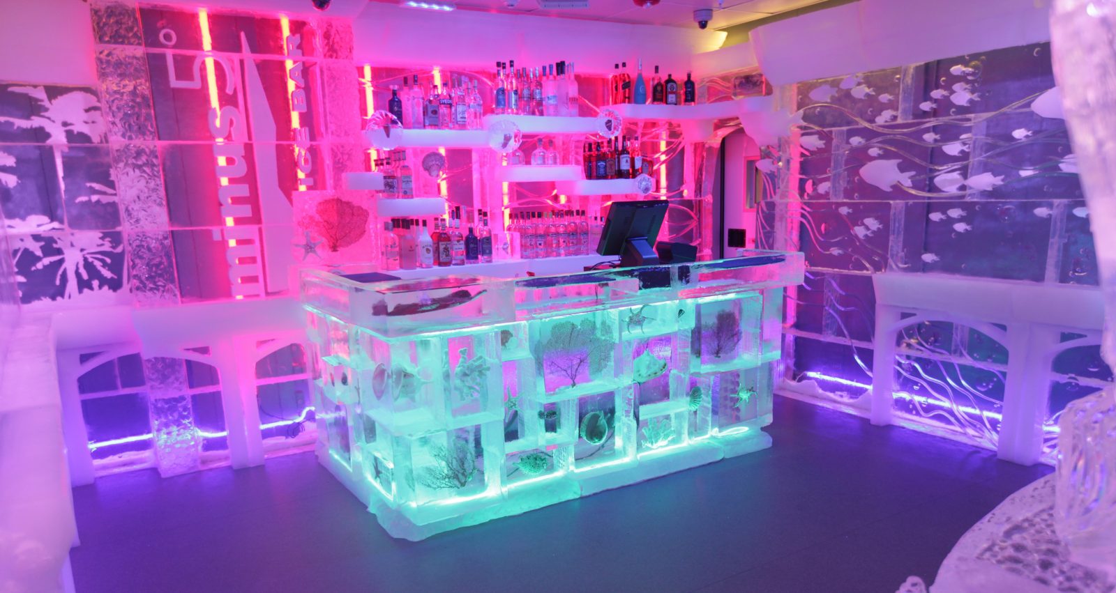 Minus5 Ice Bar Orlando - Bar