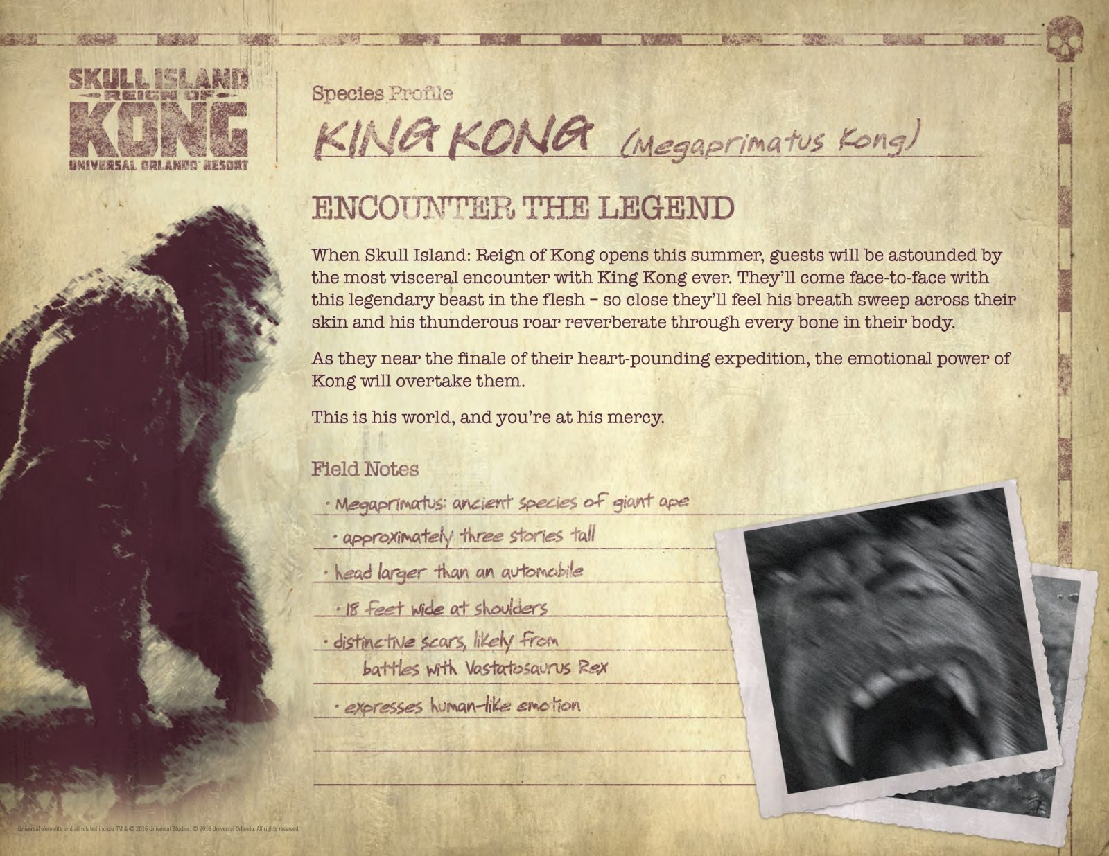 Kong Skull Island Reign of Kong Universal Island's of Adventure