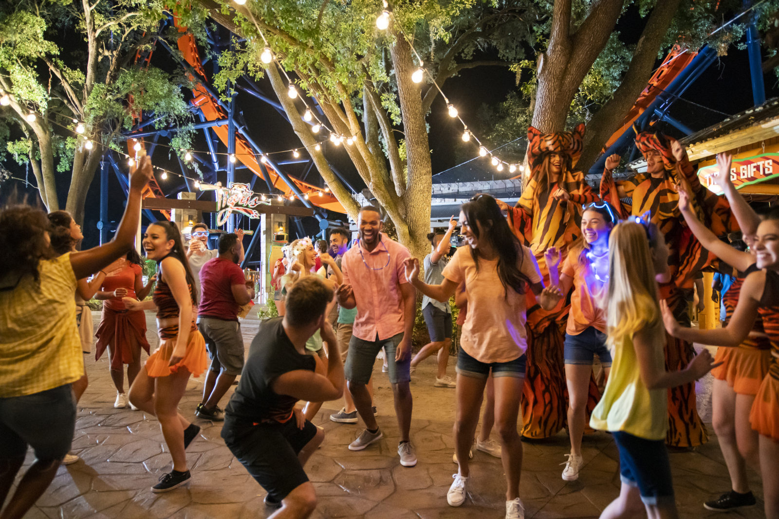 Busch Gardens Tampa Bay Summer Nights 2019