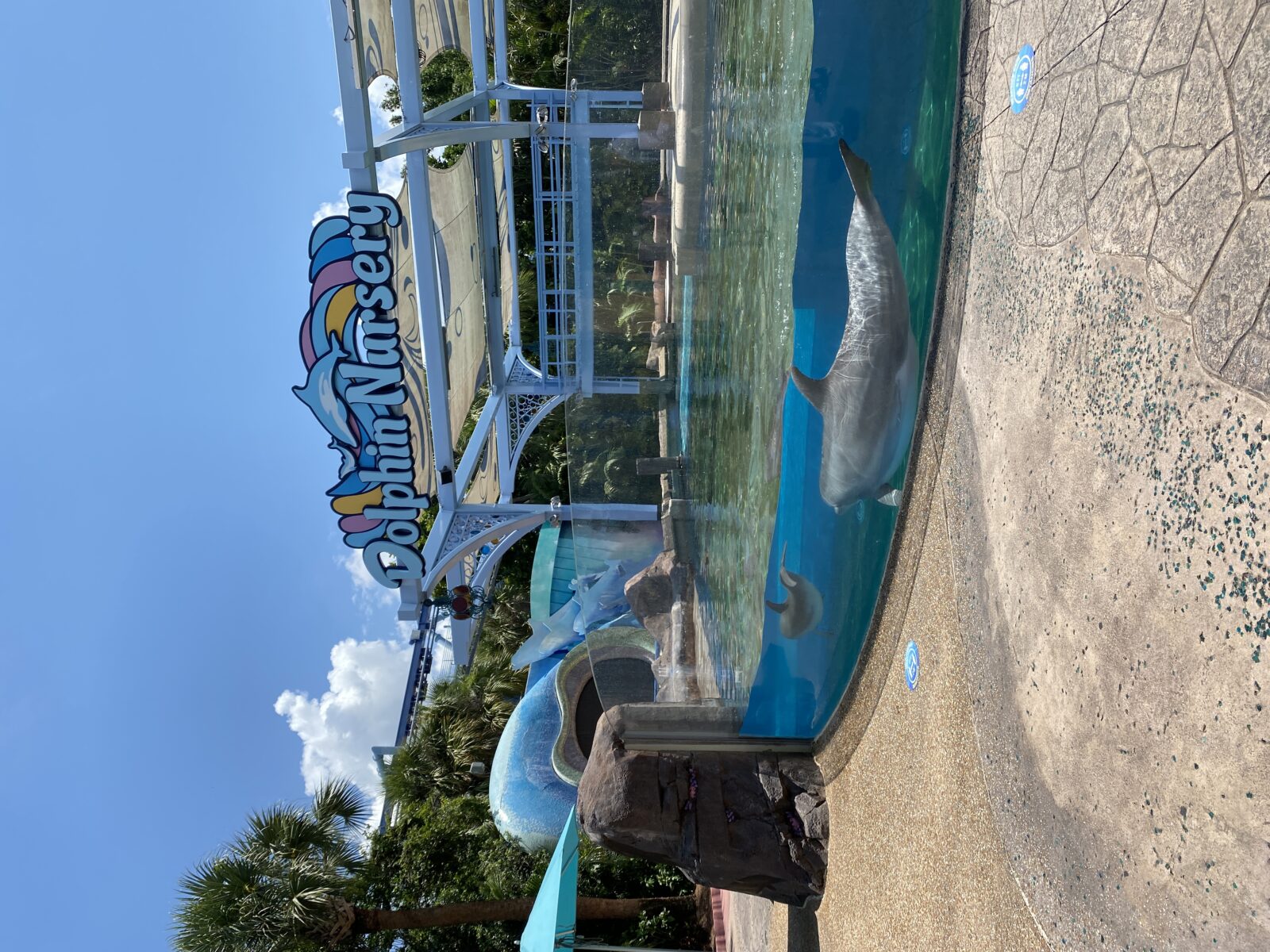 SeaWorld Orlando Reopening June 11 2020