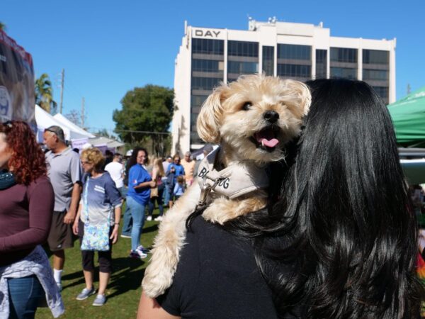 28th Annual Paws In The Park