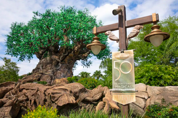 Earth Month Disney's Animal Kingdom - Tree of Life
