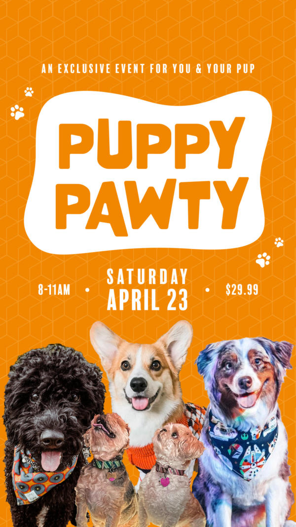 Museum of Illusions Orlando Hosts Puppy Paw-ty