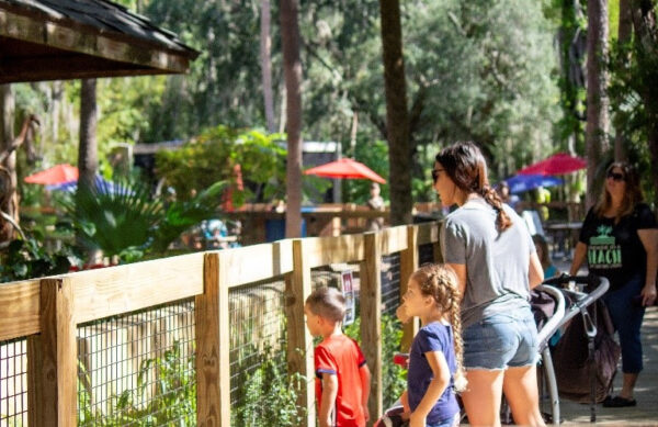Family Sunsets Return to Central Florida Zoo