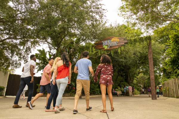 Busch Gardens Tampa Bay Bier Fest 2022 Park 
